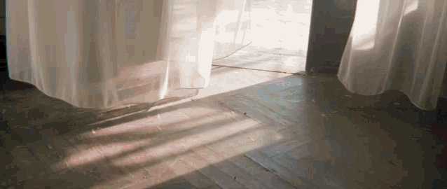 the sun shines through the curtains on the wooden floor