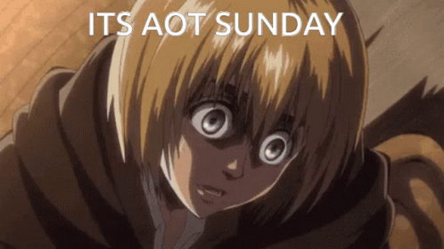 Aot Attack On Titan GIF - Aot Attack On Titan Armin GIFs