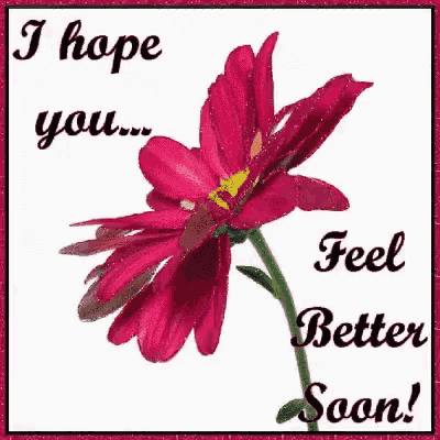 a red flower with the words `` i hope you ... feel better soon '' written on it .