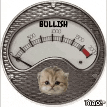 a bullish gauge with a cat 's face on it