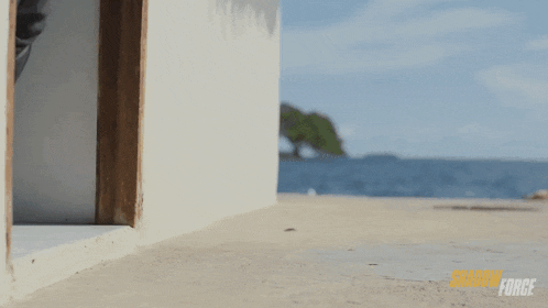 a man is doing a handstand in front of the ocean with shadow force written on the bottom of the screen