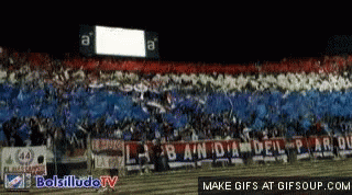 Stadium Game GIF - Stadium Game Flag GIFs
