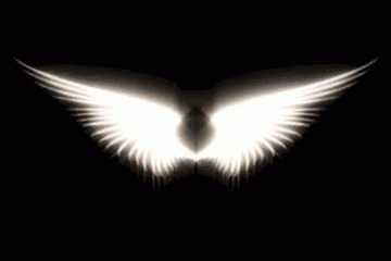 Angel Wings GIF - Angel Wings Fly GIFs