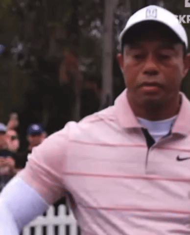 Tiger Woods GIF - Tiger Woods Tiger Woods GIFs