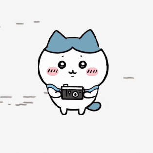a cartoon cat is taking a picture with a camera ..