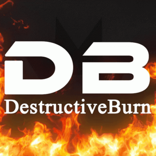 Destructiveburn GIF - Destructiveburn GIFs