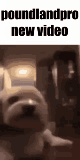 a dog is standing in front of a microwave with the words `` poundlandpro new video '' written on it .