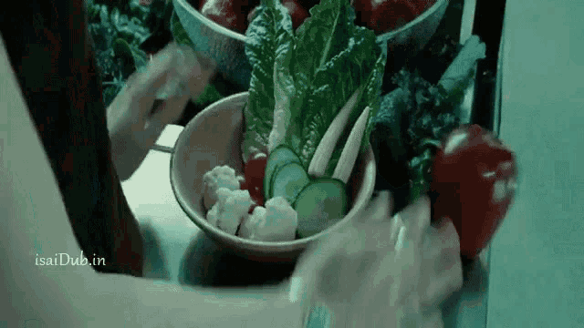 a person is preparing a salad with lettuce , cucumbers , and other vegetables in a bowl .
