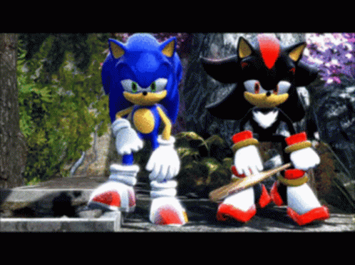 Shadow The Hedgehog Sonic The Hedgehog GIF
