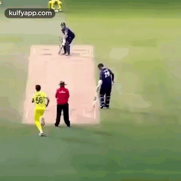 Mitchell Starc Sparkling Yorkers.Gif GIF - Mitchell Starc Sparkling Yorkers Starc Mitchell Starc GIFs