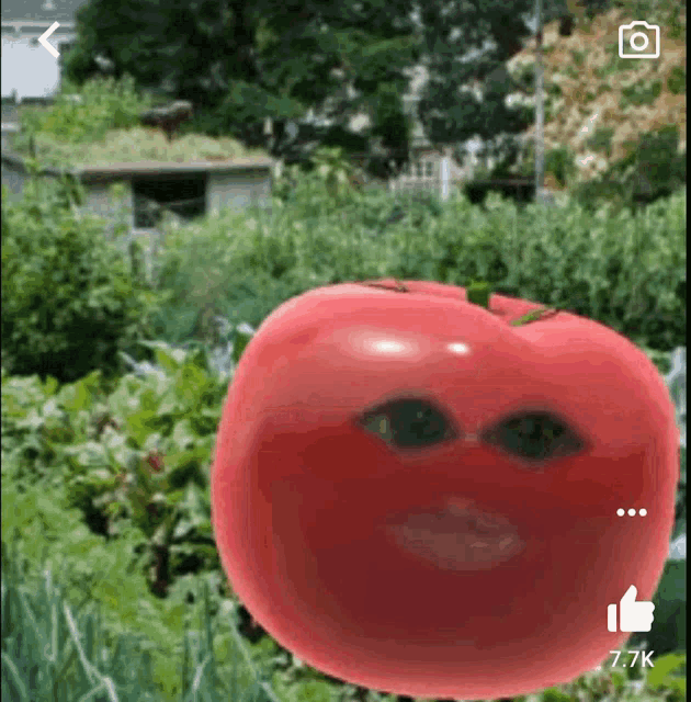 Tomato Potato GIF - Tomato Potato GIFs