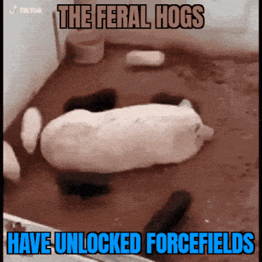 Feral Hogs Feral Hog Forcefield GIF - Feral Hogs Feral Hog Feral Hog Forcefield GIFs
