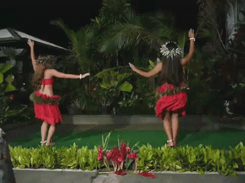 Polynesian Hips GIF - Polynesian Hips Cultural GIFs