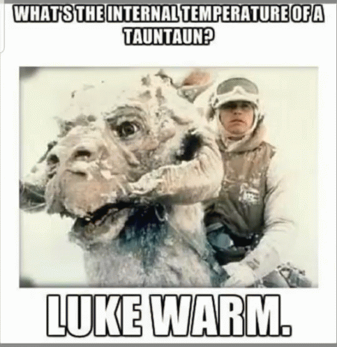 Luke Warm Tauntaun GIF - Luke Warm Tauntaun Internal Temperature GIFs