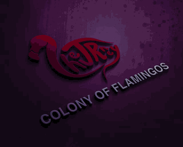 a purple logo that says colony of flamingos on it
