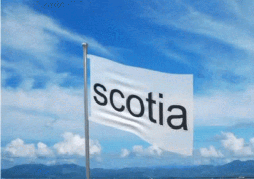 Scotia Nova Scotia GIF