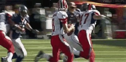 a football player with the number 17 on his jersey is running with the ball .