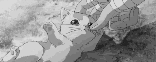 a black and white photo of a person petting a cat