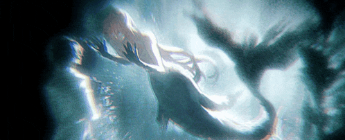a woman is swimming in the water with a dolphin behind her .