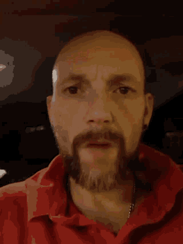 a man with a beard wearing a red shirt looks at the camera
