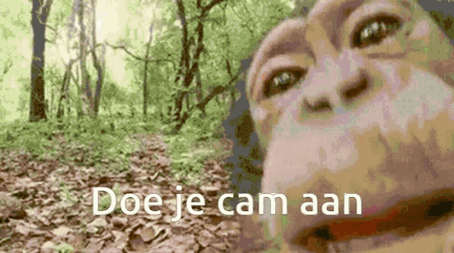 a close up of a monkey 's face in the woods with the words doe je cam aan written below it .