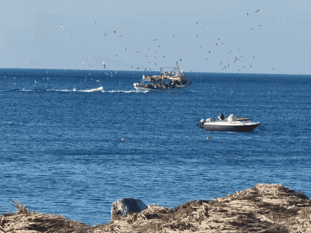 a boat is in the middle of the ocean with seagulls flying around it