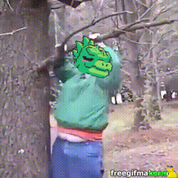 a person in a green hoodie with a green dragon on their head is behind a tree