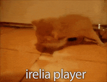 a kitten is drinking milk from a bowl with the name irelia player written on it
