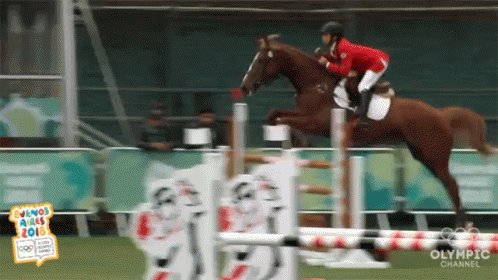 Equestrian Gallop GIF - Equestrian Gallop Show Jumping GIFs