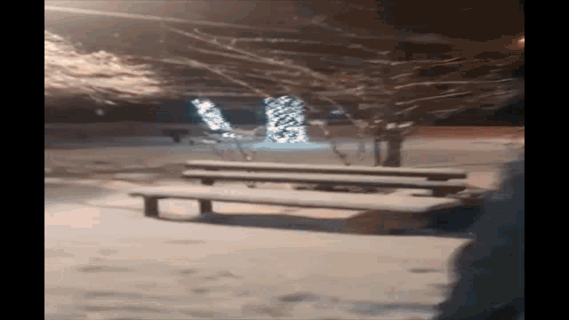 a snowy park with a bench and a tree with lights on it