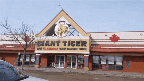 Giant Tiger Canadian Discount Store GIF - Giant Tiger Canadian Discount Store Canadian Stores GIFs