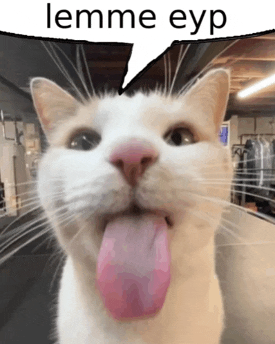a white cat sticking its tongue out with a speech bubble that says " lemme eyp "