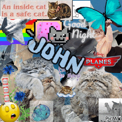 a collage of cats with the name john on the bottom