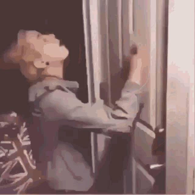 a person is standing in a doorway looking out a window .