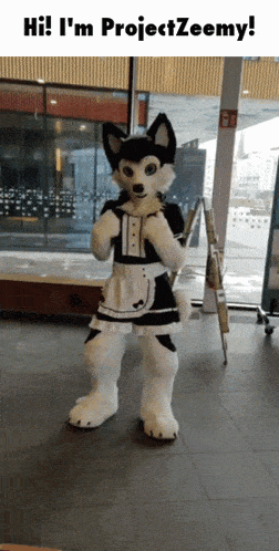 a husky mascot dressed as a maid stands in front of a window