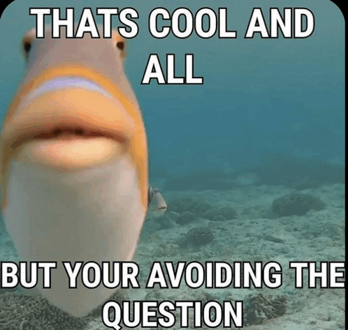 a fish with the words thats cool and all but your avoiding the question