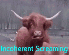 Cow Scream GIF - Cow Scream Markimoo GIFs