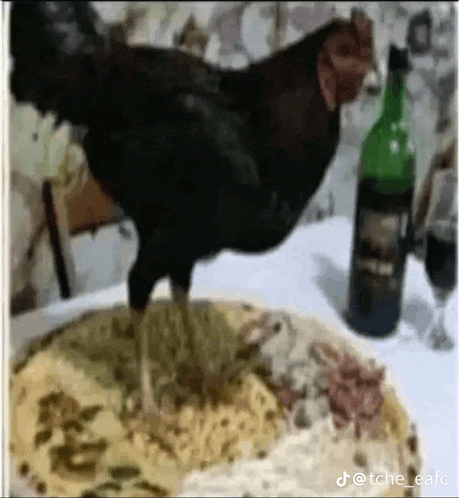 a rooster is standing on top of a pizza next to a bottle of wine .