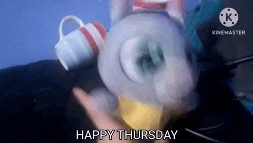 a person is holding a stuffed animal with a cup in its mouth and the words `` happy thursday '' .