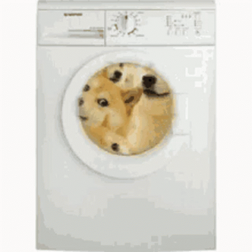 Laundry Whatthehell GIF - Laundry Whatthehell Wth GIFs