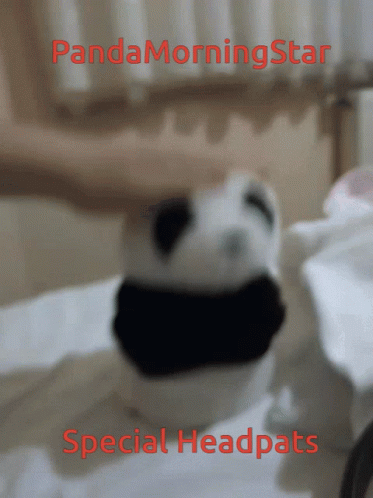 Headpat Panda GIF - Headpat Panda Pandamorningstar GIFs