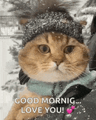 a cat wearing a hat and scarf is in the snow .