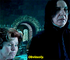 Obviously GIF - Duh Snape Harry Potter GIFs