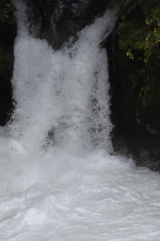 Mury Rotorua Rafting Water GIF - Mury Rotorua Rafting Water Falls GIFs