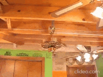 a ceiling fan is spinning in a room with a green wall that says family