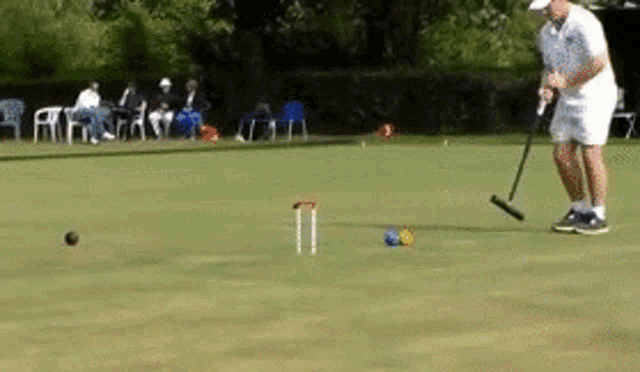 a man is playing a game of croquet on a lush green field