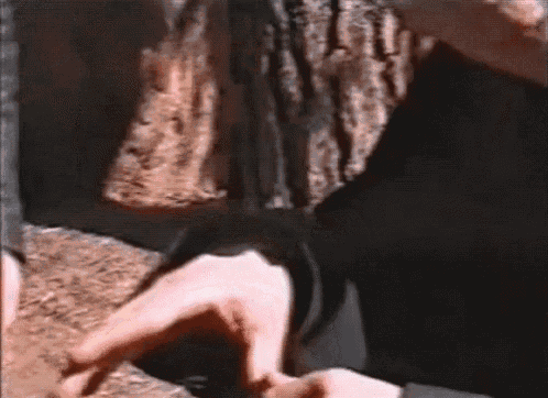 a close up of a person 's hand holding a piece of wood .
