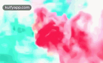 a close up of a pink flower against a blue and white background .