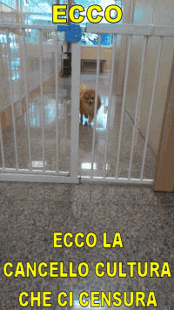 a picture of a dog behind a gate that says ecco la cancello cultura che ci censura