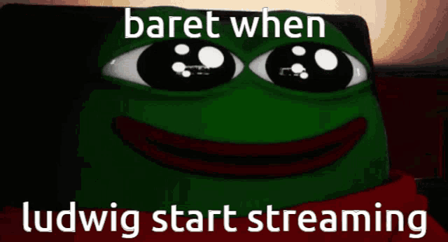 Baret Ludwig GIF
